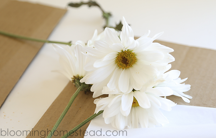 DIY Teacher Appreciation Pressed Flower Gift 