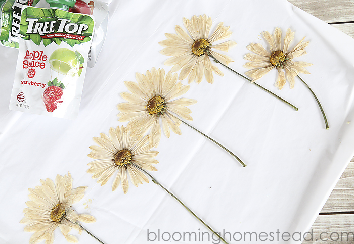 DIY Teacher Appreciation Pressed Flower Gift 