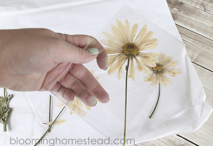 DIY Teacher Appreciation Pressed Flower Gift 