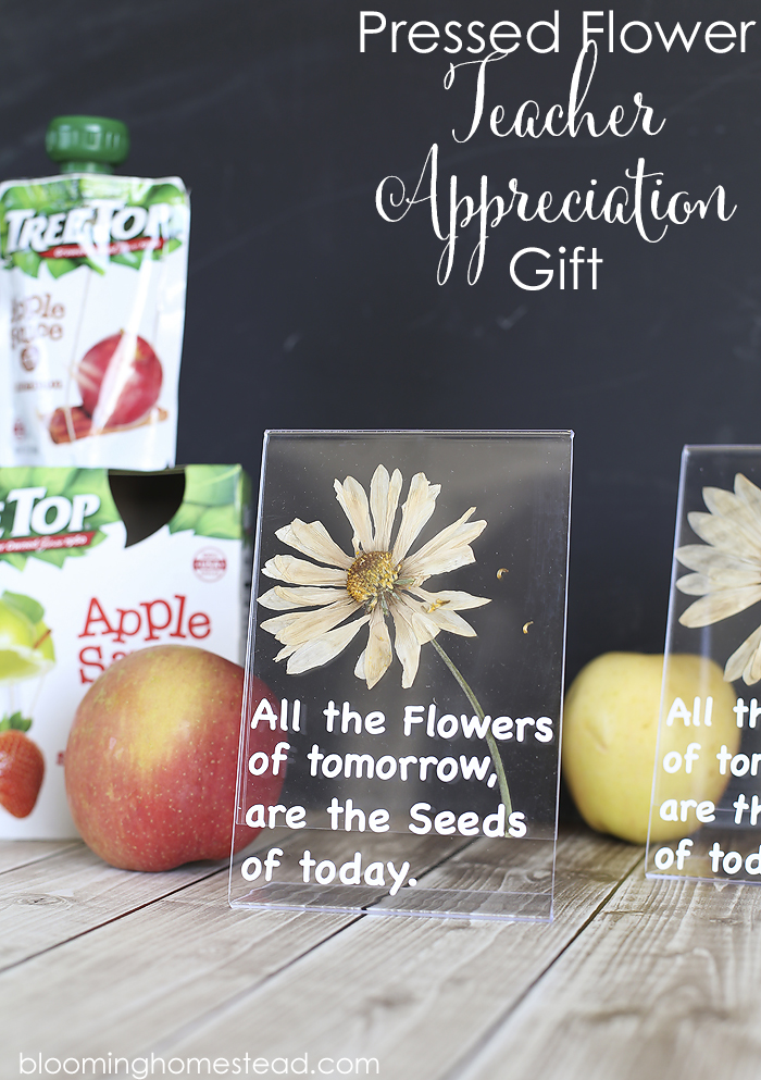 DIY Teacher Appreciation Pressed Flower Gift 