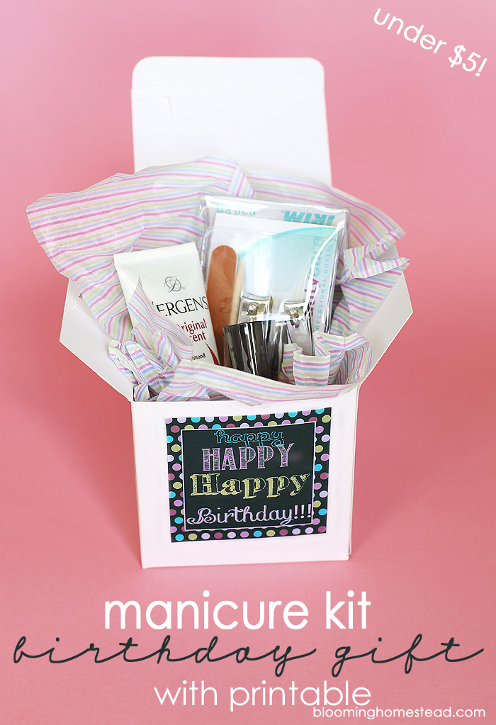 Manicure-Kit-Birthday-Gift-with-Printable12