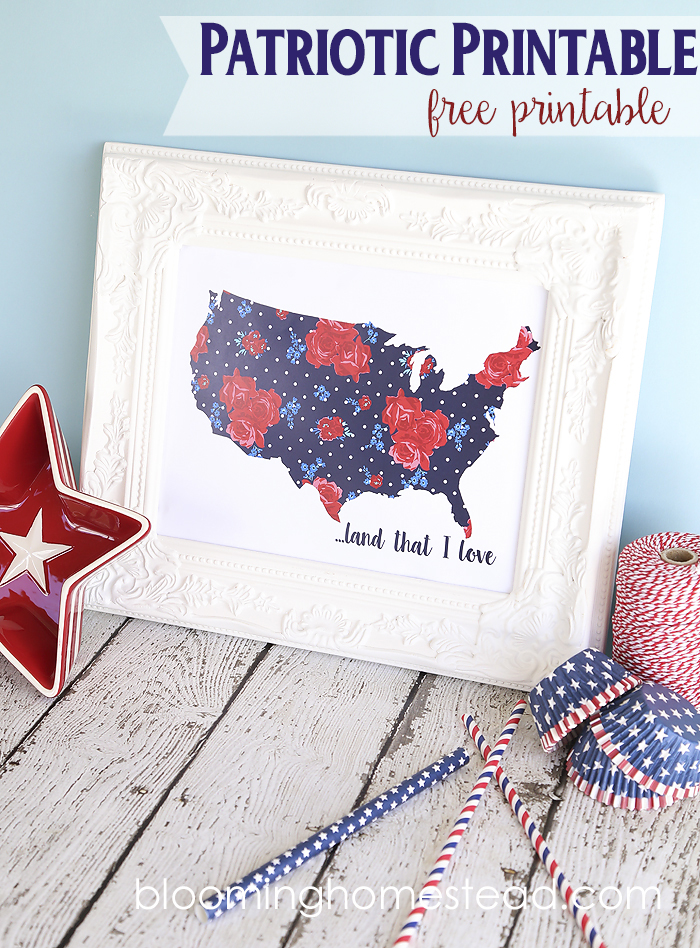 Beautiful Patriotic free Printable. Just download, print and frame and you have an adorable custom art print for 4th of July!