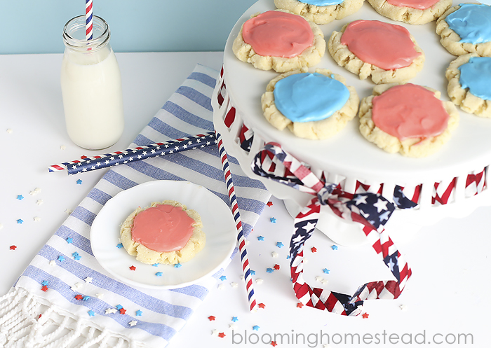 Swig Cookies-Patriotic Style