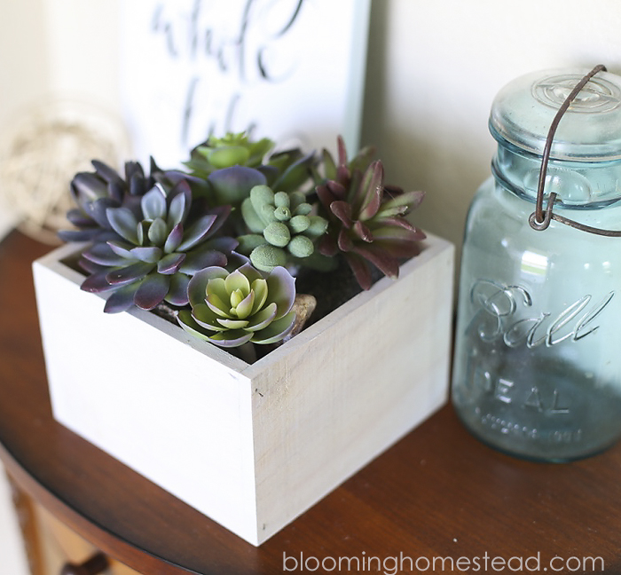 DIY Succulent Home Decor by Blooming Homestead1