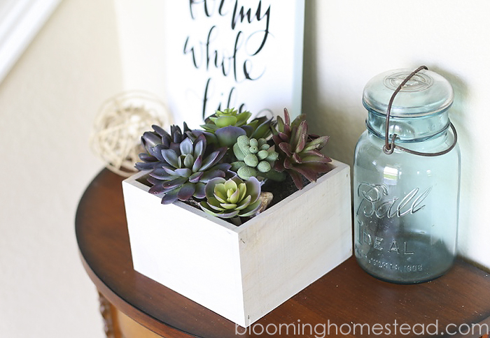 DIY Succulent Home Decor by Blooming Homestead2