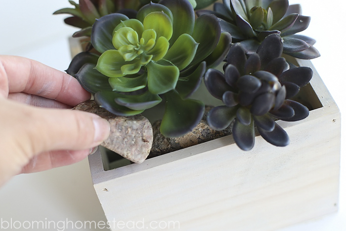 DIY Succulent Home Decor by Blooming Homestead3