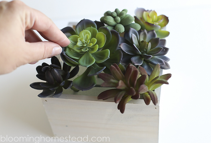 DIY Succulent Home Decor by Blooming Homestead4