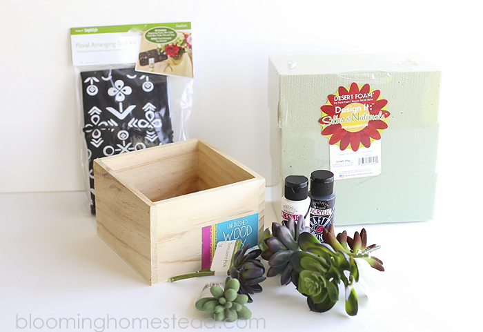 DIY Succulent Home Decor by Blooming Homestead8