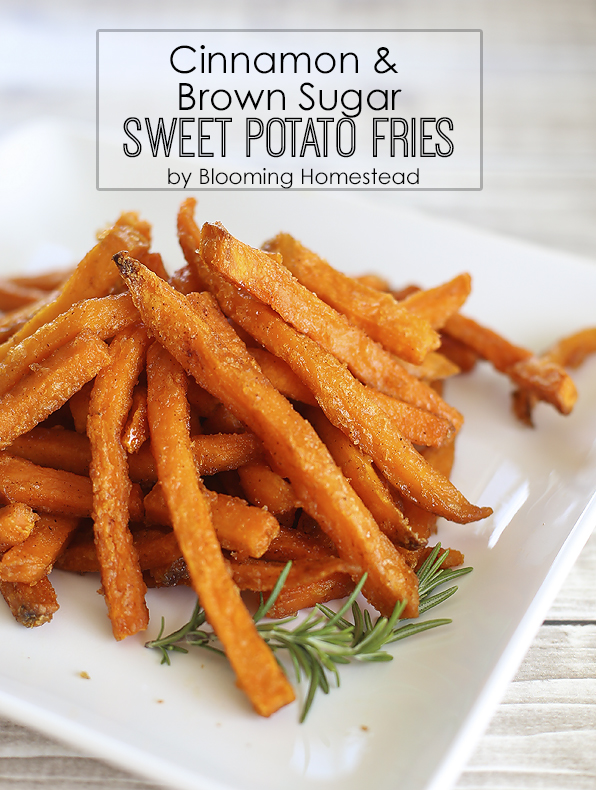 Cinnamon-and-brown-sugar-Sweet-Potato-Fries-by-Blooming-Homestead