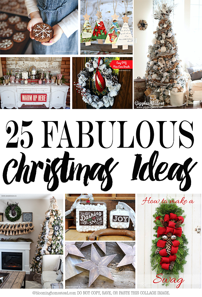 25 Great Christmas Ideas