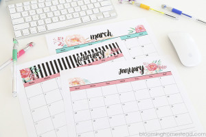 Organizational Tips - Blooming Homestead