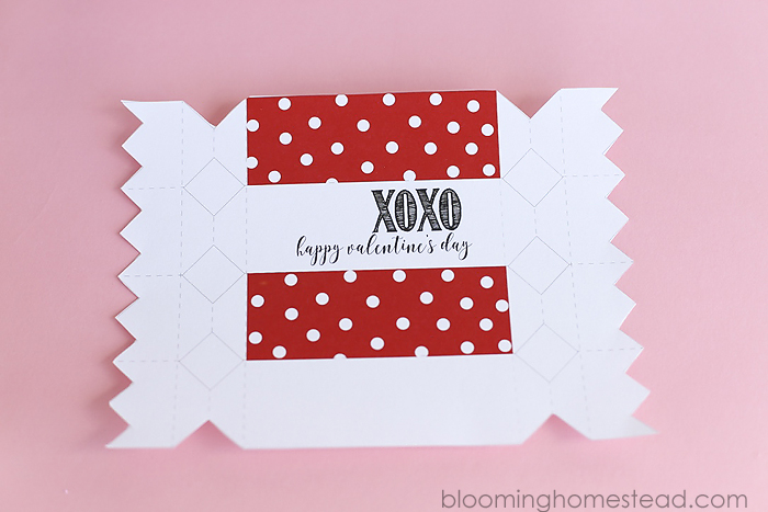 Printable Valentine Favor Boxes in two styles, perfect for girls and boys.