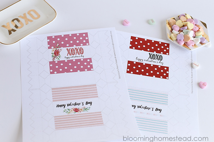 Printable Valentine Favor Boxes in two styles, perfect for girls and boys.