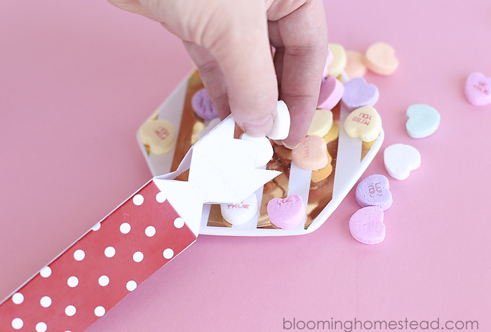 Printable Valentine Favor Boxes in two styles, perfect for girls and boys. 