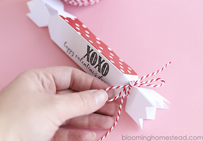 Printable Valentine Favor Boxes in two styles, perfect for girls and boys.