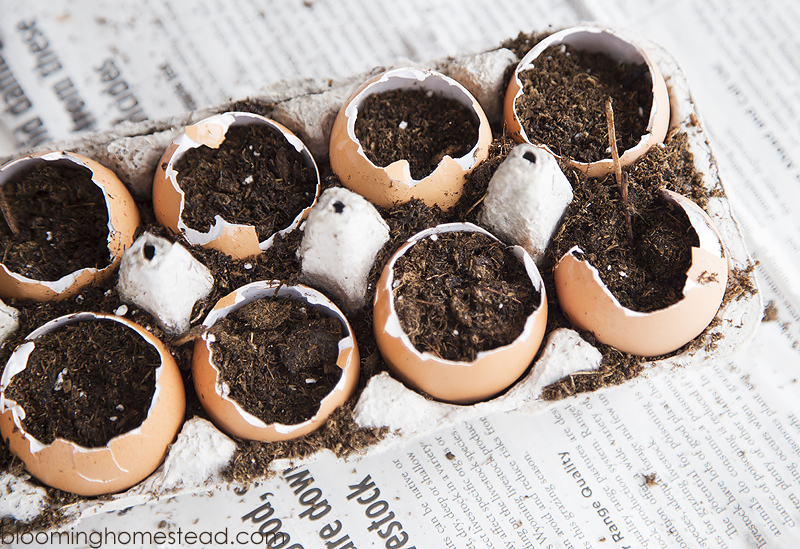 Egg garden planter