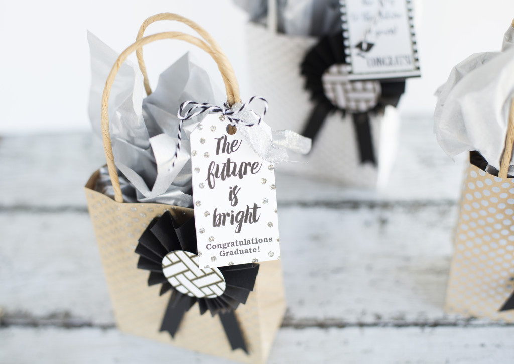 Graduation Gift Bags with printable gift tags