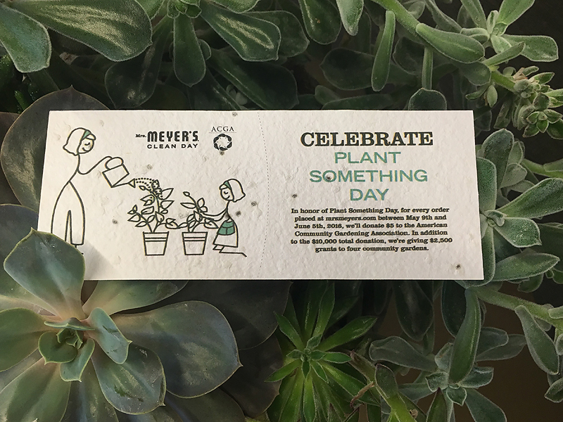 Check out how we are celebrating Plant Something Day and learn how you can make a difference.