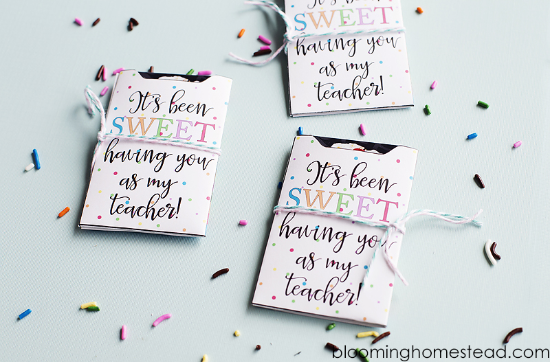 Printable Teacher Appreciation Gift Card Holder. 