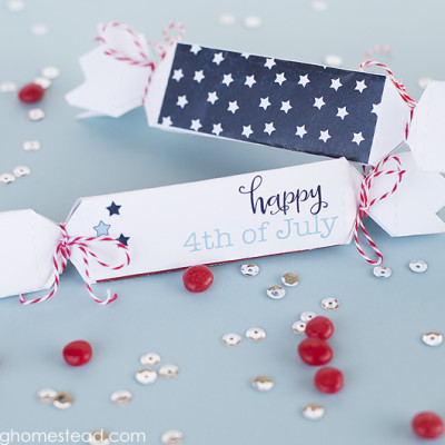 4th of July Favor Boxes