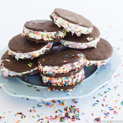 Homemade Ice Cream Sandwiches