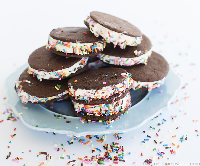 Learn how to make these delicious Homemade Ice Cream Sandwiches! So delicious and so easy, we'll walk you through step by step.