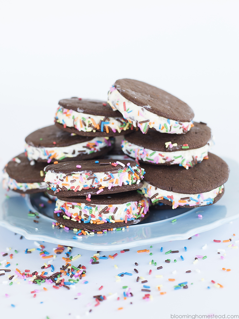 Learn how to make these delicious Homemade Ice Cream Sandwiches! So delicious and so easy, we'll walk you through step by step.