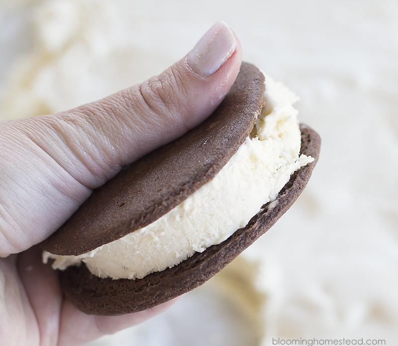 Ice Cream Sandwich with cookies