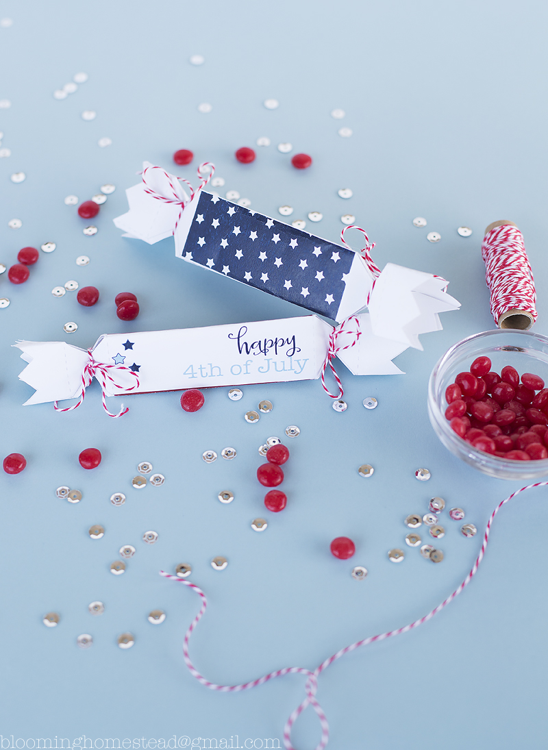 Love these adorable free printable 4th of July Favor Boxes.