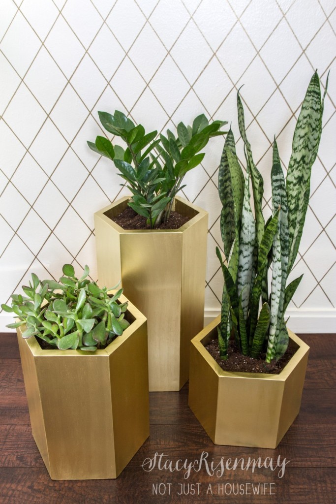 gold-hexagon-planters-900x1350