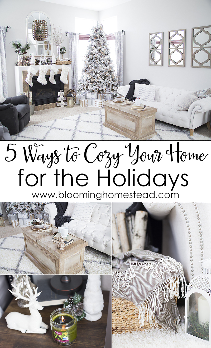 5-ways-to-cozy-your-home-for-the-holidays-with-practical-and-affordable-ideas