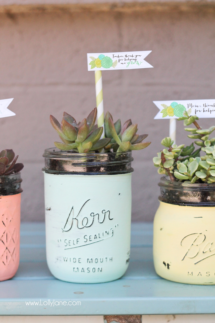 DIY-Distressed-Mason-Jar-Succulent-Pots-with-free-printable-gift-tags