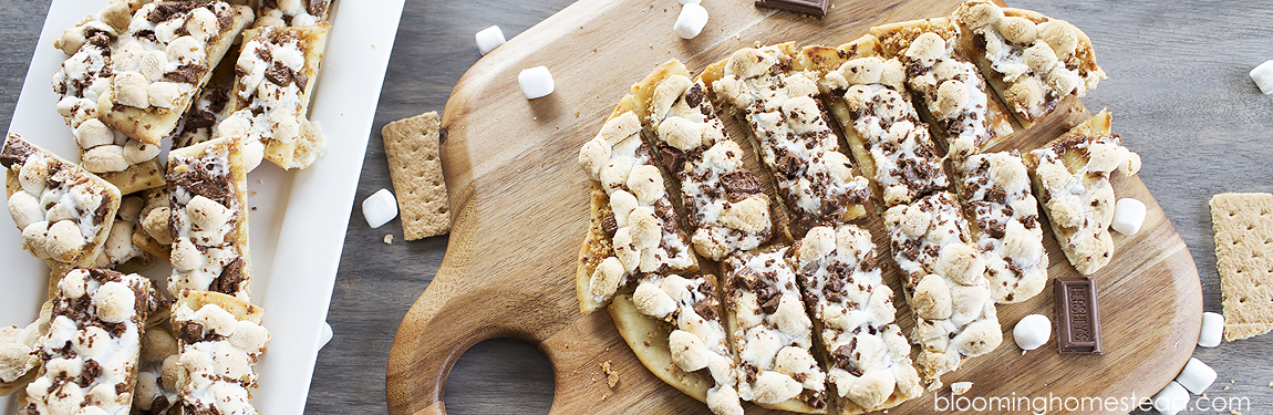 Delicious Smores Bites header