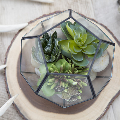 Decorating with Succulents