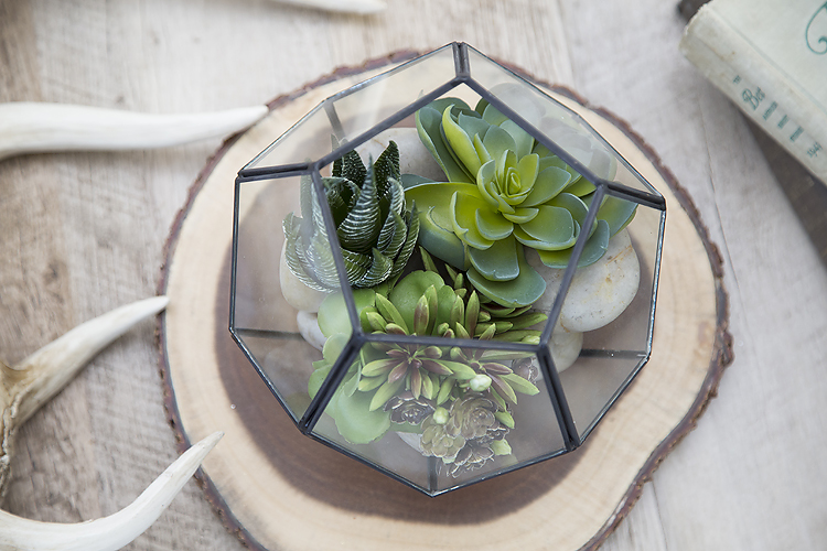 Easy Succulent Terrarium