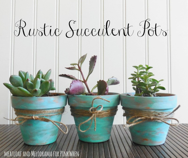 Rustic-Succulent-Pots