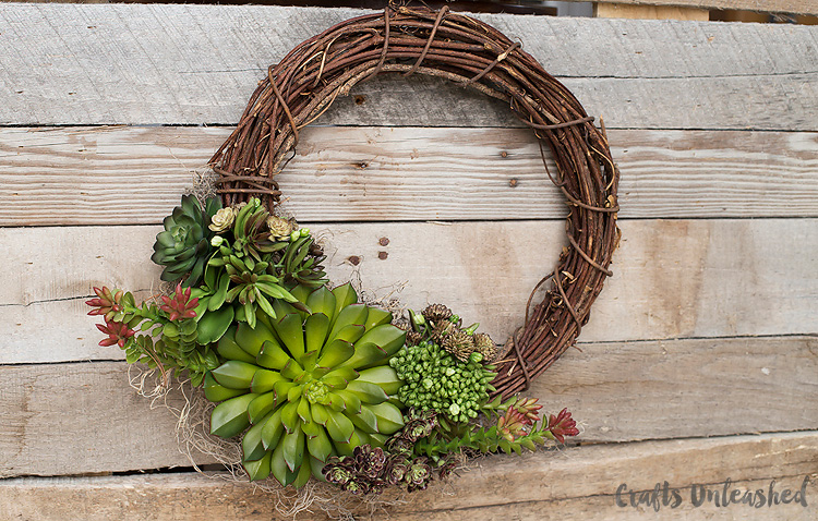 Succulent-DIY-Wreath-Consumer-Crafts-Unleashed-2