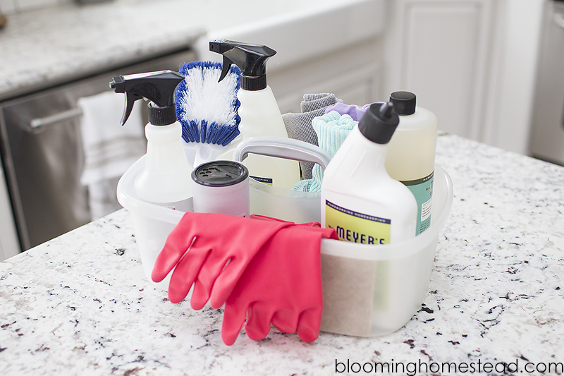 Cleaning Tote web