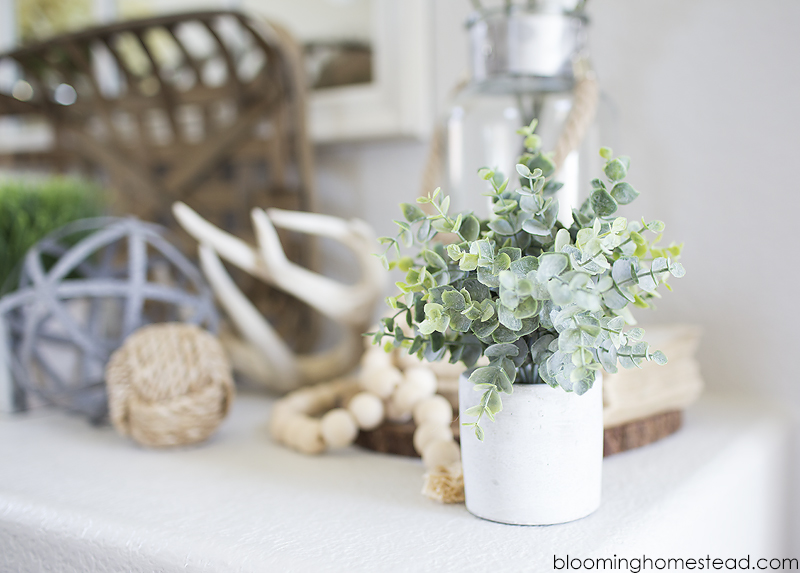 Adding foliage in home decor